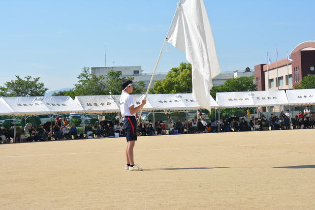 DSC_3895