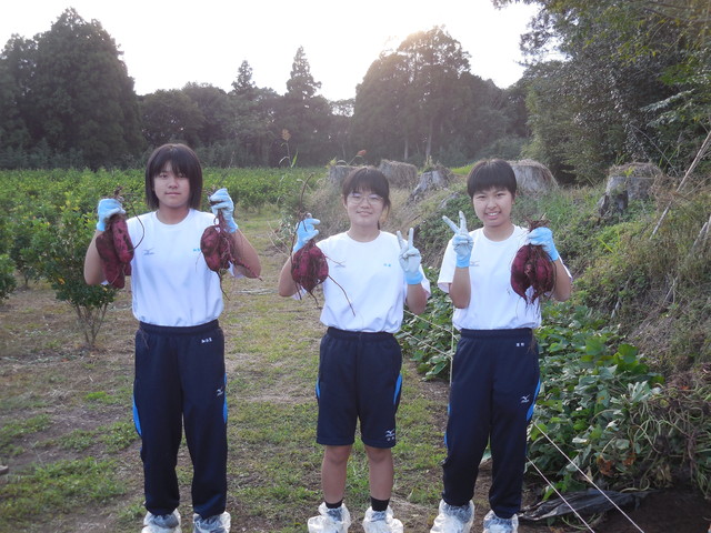 DSCN0288